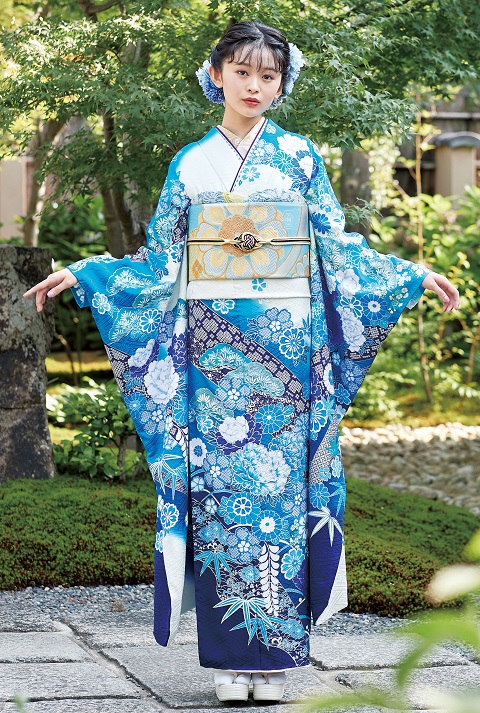 http://wa-shibata.co.jp/furisode/info/info/img/5_AU_1898%20480780%201.jpg