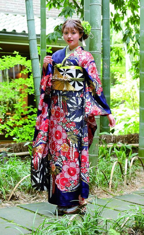 http://wa-shibata.co.jp/furisode/info/info/img/H302_0013_480780.jpg