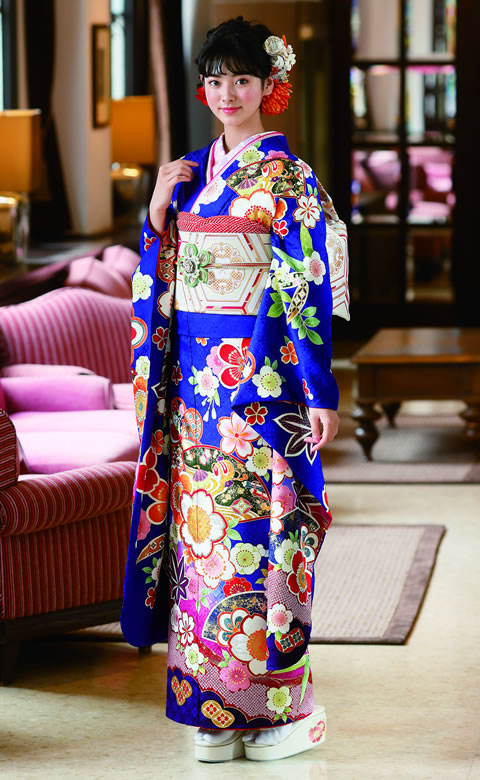 http://wa-shibata.co.jp/furisode/info/info/img/H315_480780.jpg